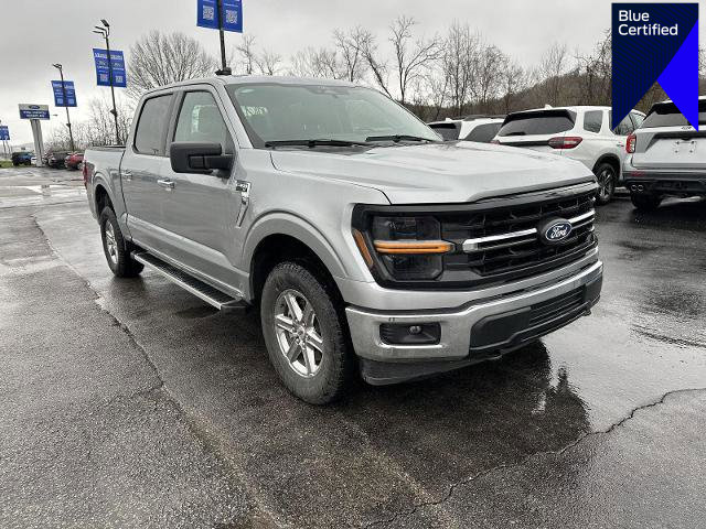 Certified 2025 Ford F150 XLT w/ Equipment Group 301A Standard image 1