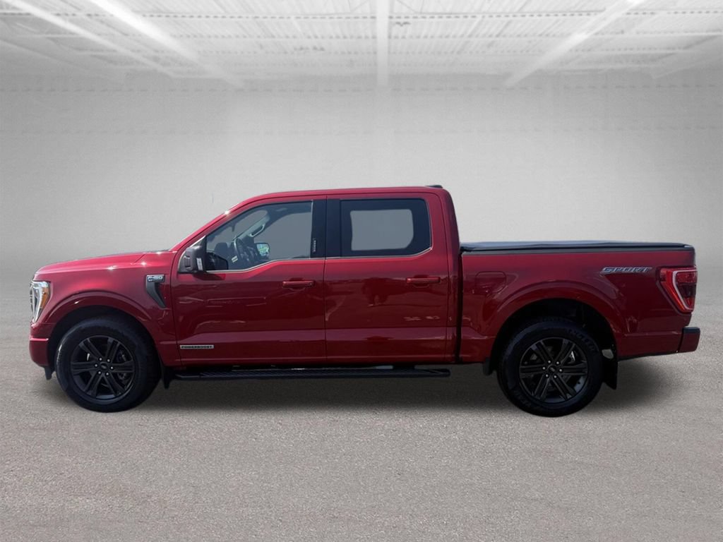 Certified 2021 Ford F150 XLT w/ Equipment Group 302A High RWD image 12