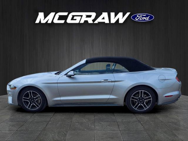 Certified 2023 Ford Mustang Premium RWD image 8