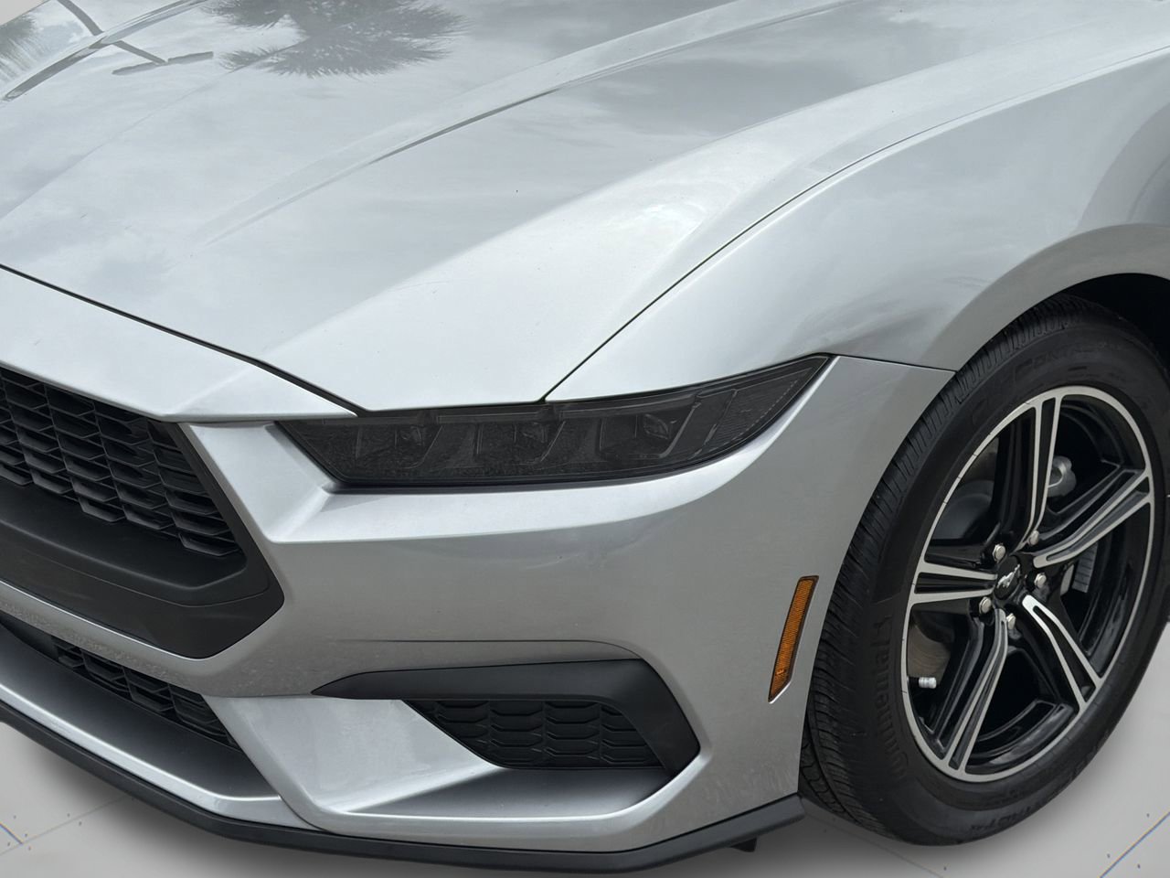 Certified 2025 Ford Mustang Coupe RWD image 6