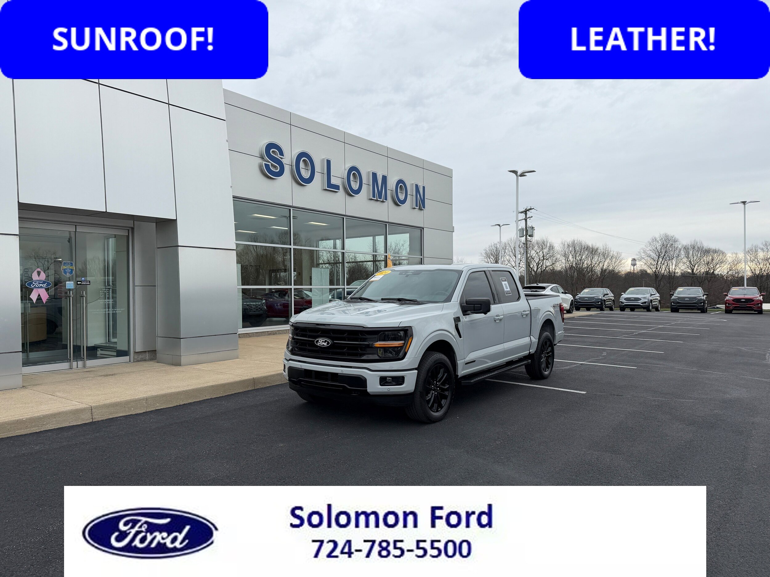 Certified 2024 Ford F150 XLT w/ Equipment Group 303A High AWD/4WD image 1