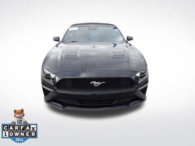 Certified 2023 Ford Mustang Premium image 10