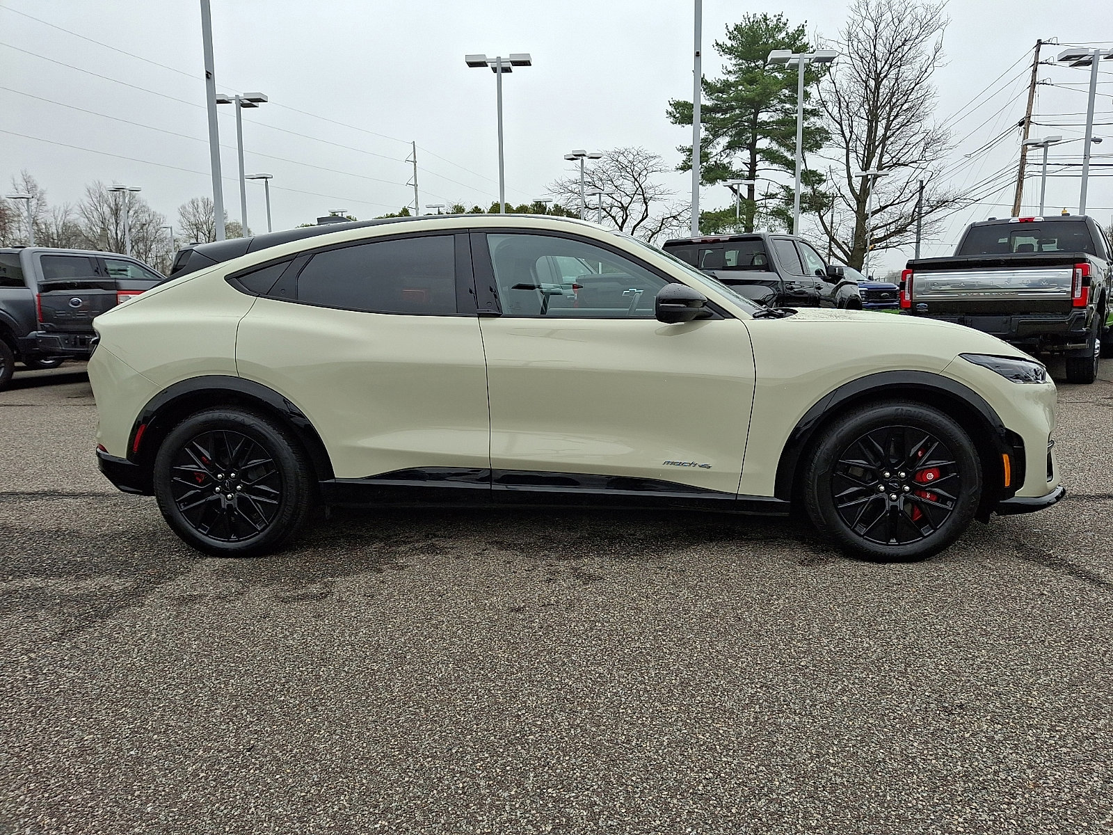 Certified 2025 Ford Mustang Mach-E Premium w/ Sport Appearance Package image 9