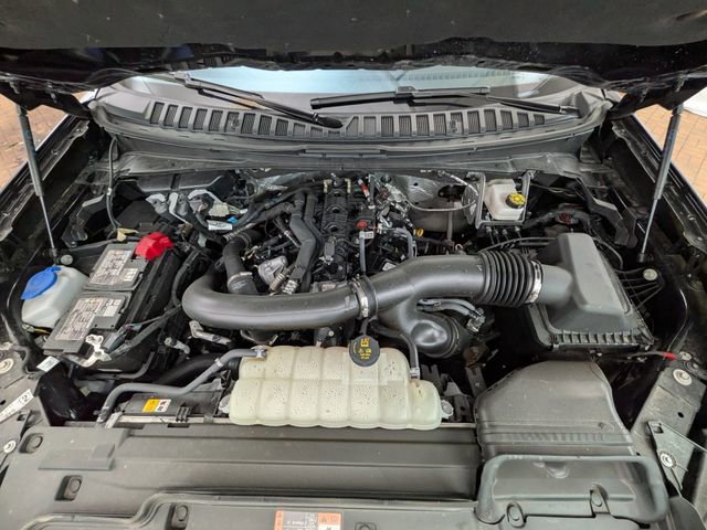 Certified 2025 Ford Expedition Active image 20