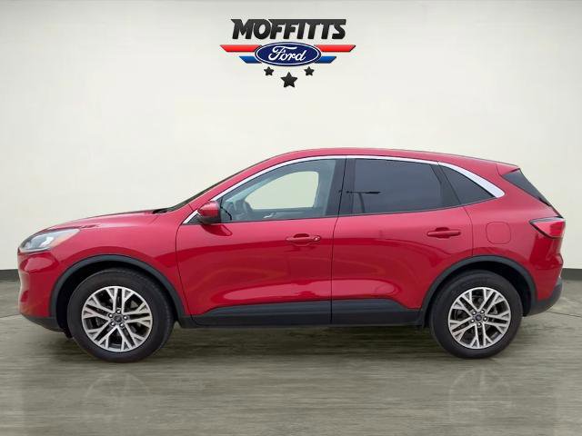Certified 2022 Ford Escape SEL AWD/4WD image 2