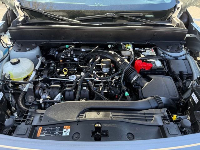 Certified 2024 Ford Bronco Sport Badlands w/ Premium Package image 15