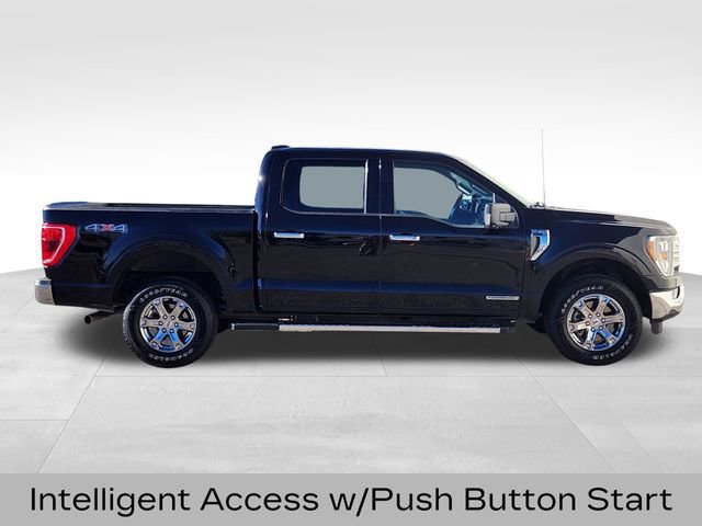 Certified 2023 Ford F150 XLT w/ Equipment Group 302A High image 6