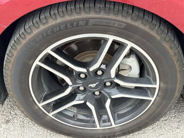 Certified 2022 Ford Mustang EcoBoost w/ Equipment Group 101A image 10