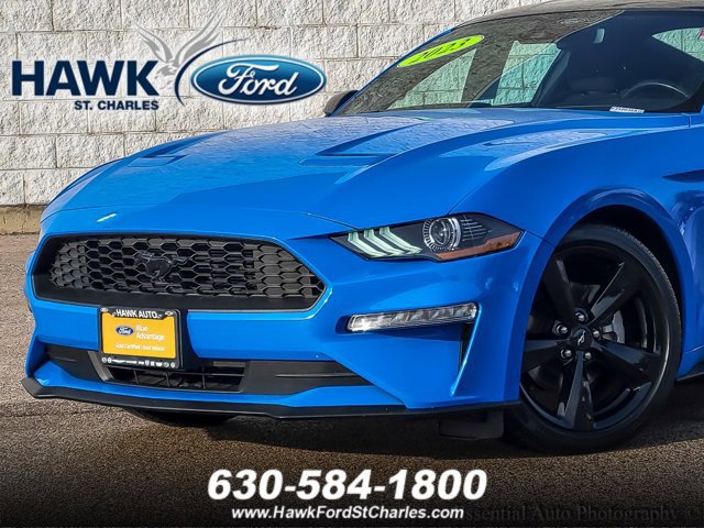 Certified 2023 Ford Mustang Coupe w/ Equipment Group 101A image 2