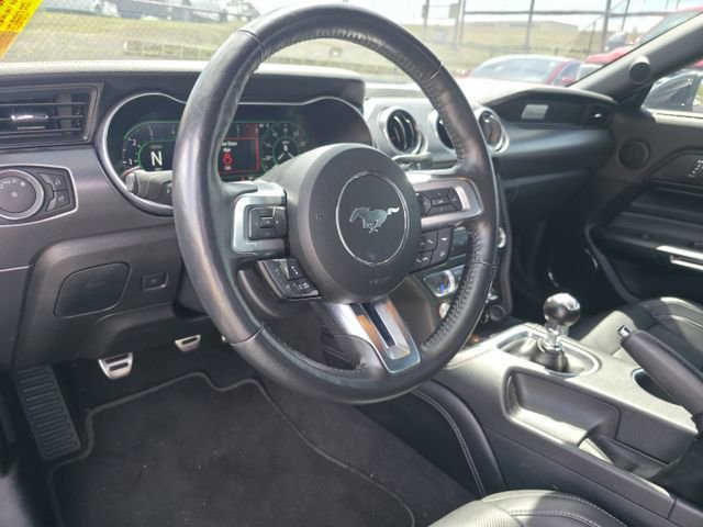 Certified 2022 Ford Mustang GT Premium w/ Equipment Group 401A image 11