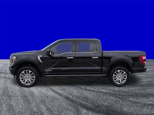 Certified 2022 Ford F150 Limited AWD/4WD image 7