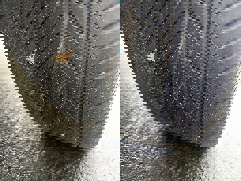 Used 2025 Lexus TX 500h AWD w/ Technology Package image 11