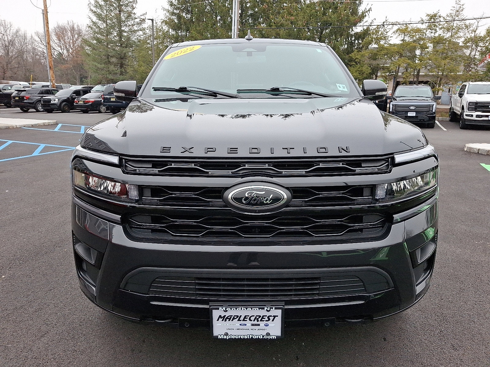 Certified 2022 Ford Expedition Max Limited image 8