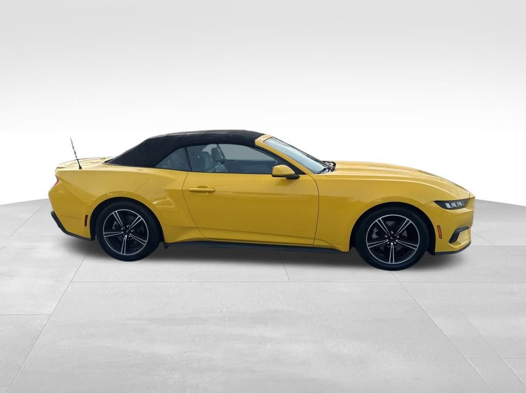 Certified 2024 Ford Mustang Premium image 7