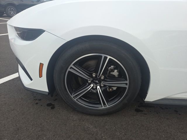 Certified 2025 Ford Mustang Premium image 15