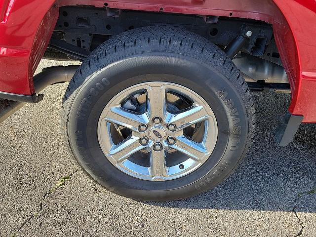 Certified 2025 Ford F150 XLT w/ Equipment Group 301A Standard AWD/4WD image 7