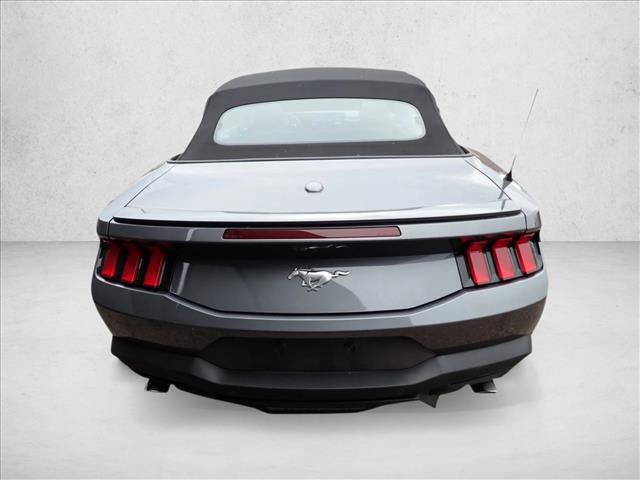 Certified 2024 Ford Mustang Premium image 3