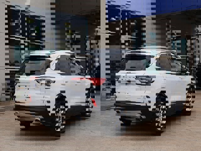 Certified 2020 Ford Escape SE image 3