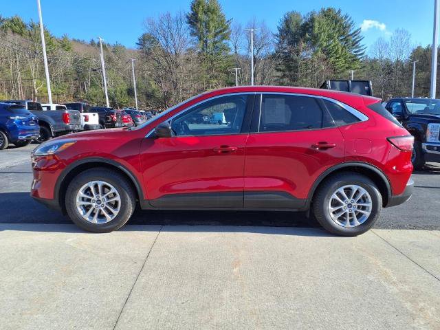 Certified 2022 Ford Escape SE w/ Convenience Package AWD/4WD image 6