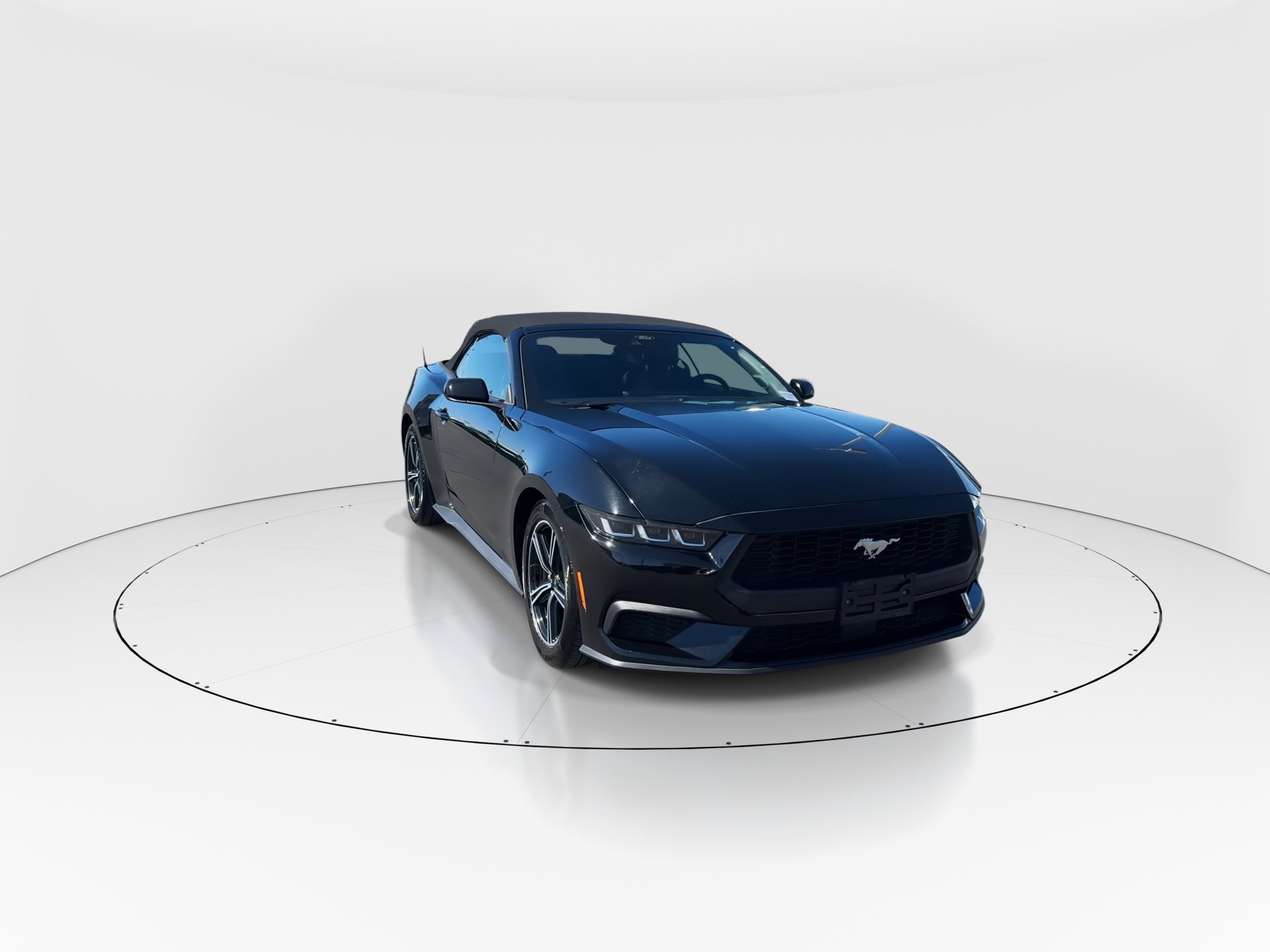Certified 2025 Ford Mustang Premium image 2
