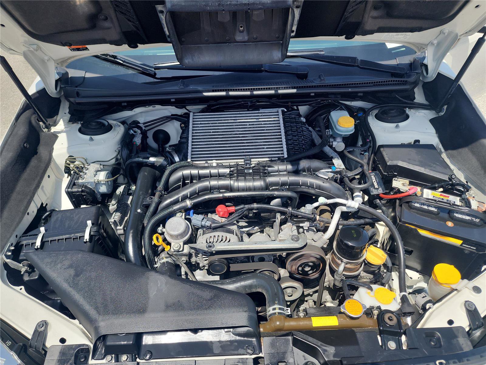 Used 2019 Subaru WRX AWD/4WD image 13