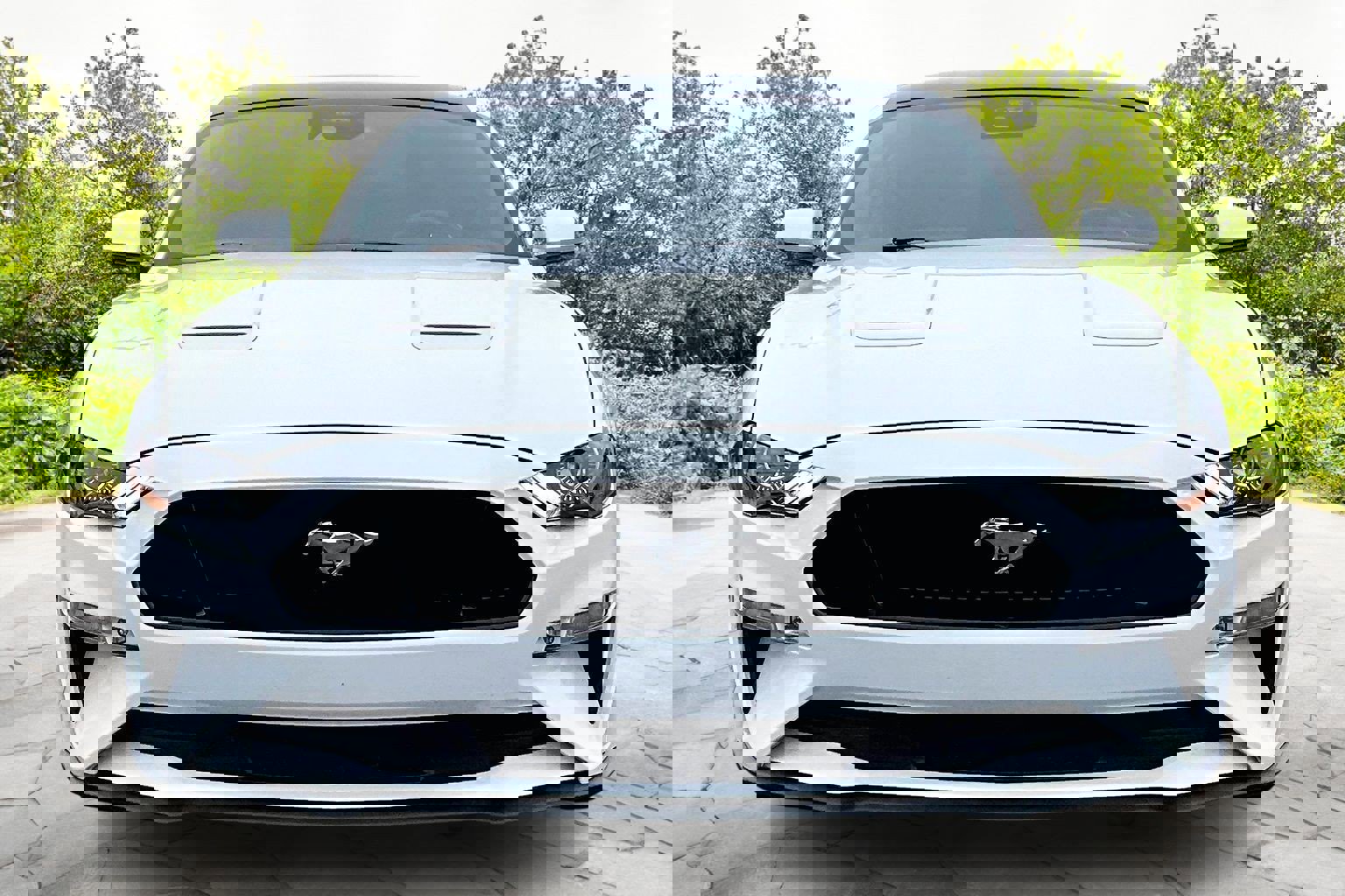 Certified 2023 Ford Mustang GT w/ Equipment Group 301A image 3