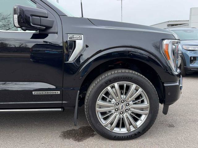 Certified 2022 Ford F150 Limited image 5