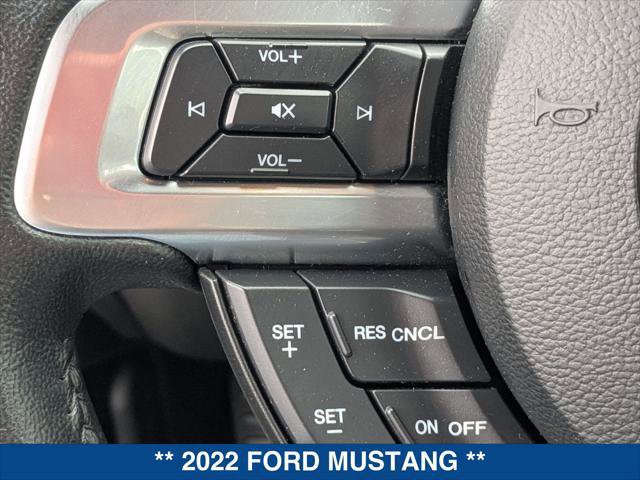 Certified 2022 Ford Mustang EcoBoost Fastback w/ Equipment Group 101A image 14