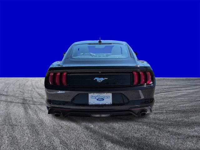 Certified 2023 Ford Mustang Coupe w/ Equipment Group 101A image 4