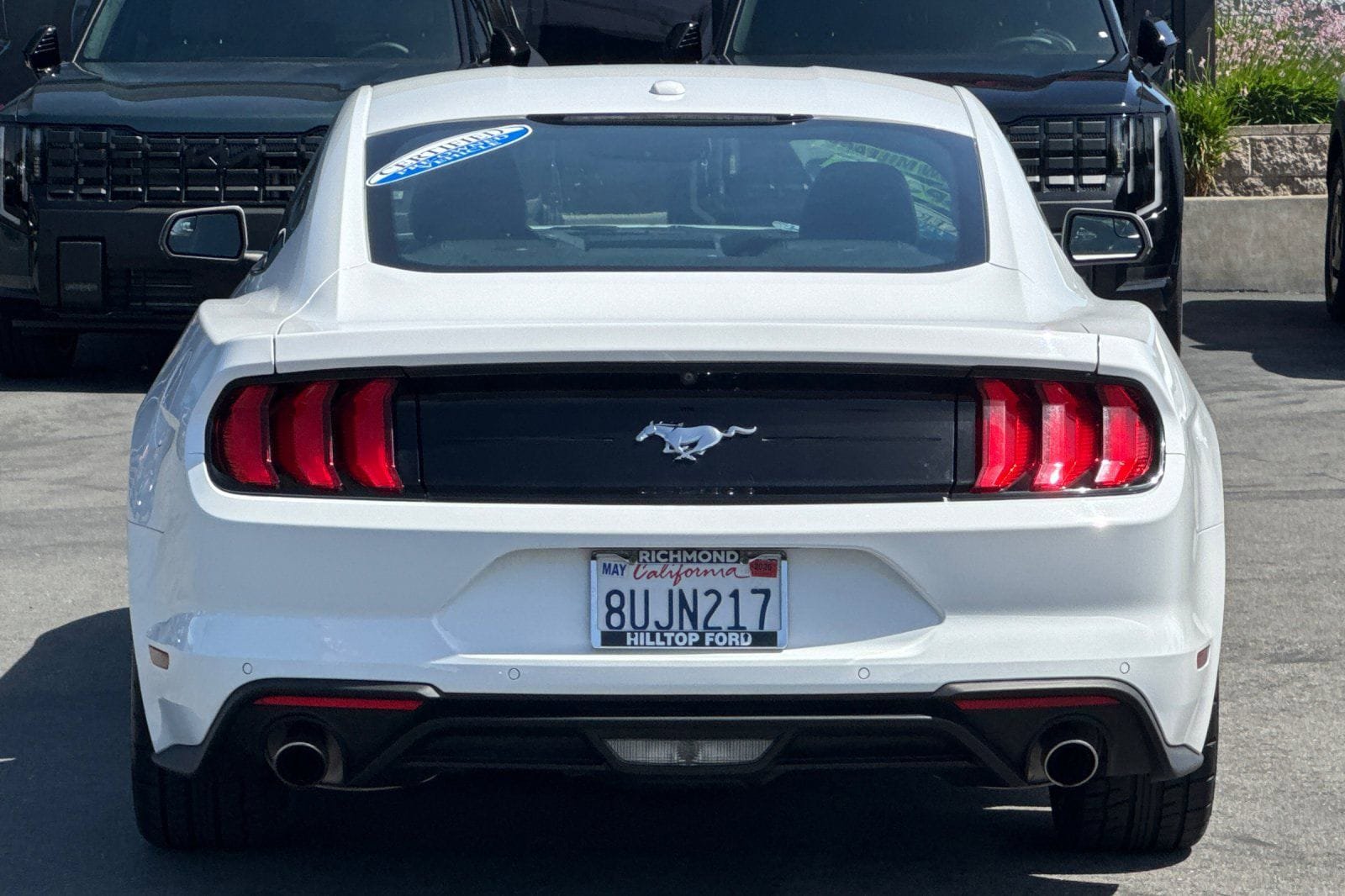 Certified 2018 Ford Mustang Premium w/ Ecoboost Performance Package RWD image 6