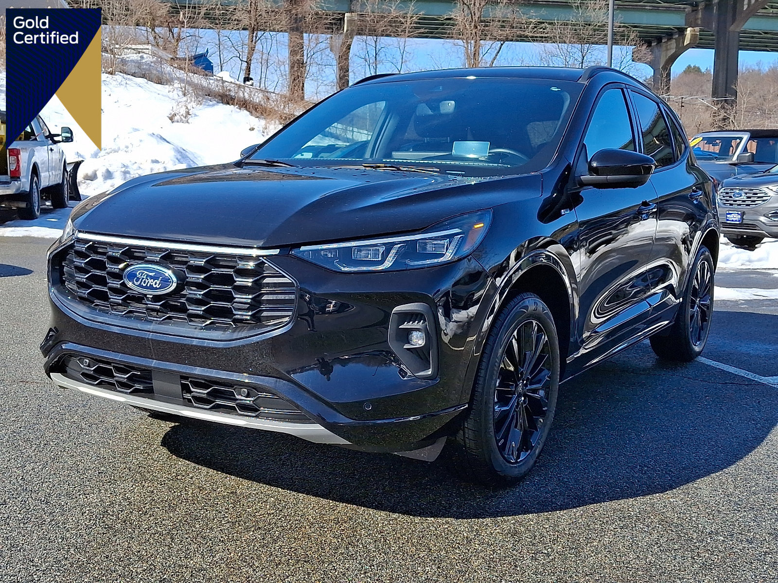 Certified 2025 Ford Escape ST-Line Elite w/ Premium Technology Package