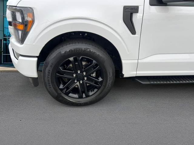 Certified 2023 Ford F150 XL w/ STX Appearance Package RWD image 8