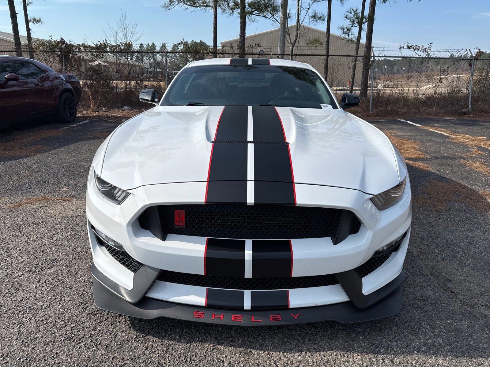 Certified 2017 Ford Mustang Shelby GT350R w/ GT350R Equipment Group 920A image 8