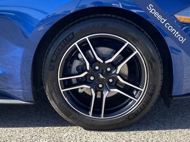 Certified 2022 Ford Mustang Premium w/ Security Package RWD image 12
