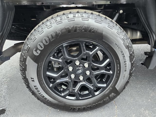 Certified 2024 Ford F150 XLT w/ Equipment Group 302A MID AWD/4WD image 39