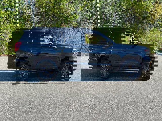 Certified 2025 Ford Expedition Tremor image 3