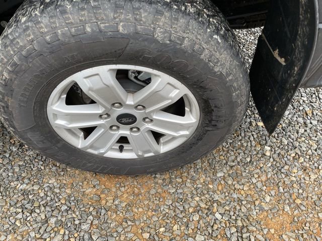 Certified 2024 Ford Ranger XL w/ Trailer Tow Package image 15