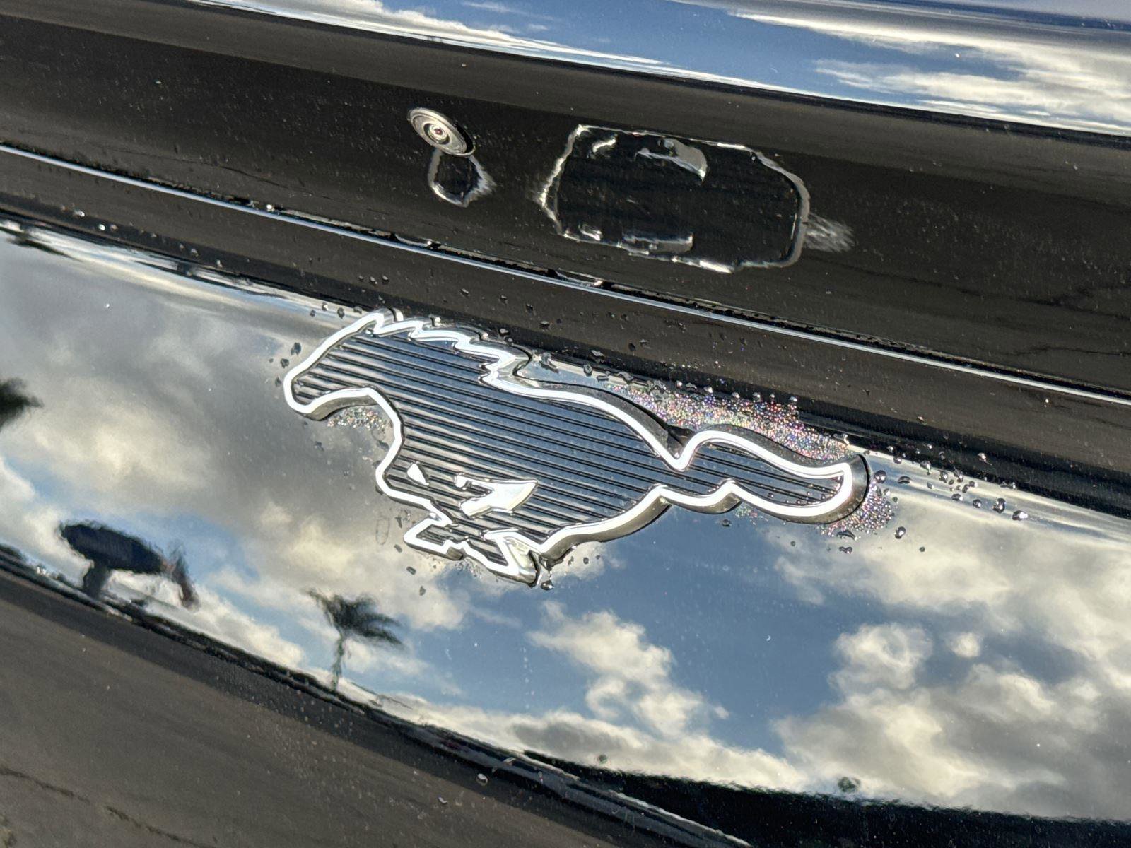 Certified 2025 Ford Mustang Mach-E Select image 14