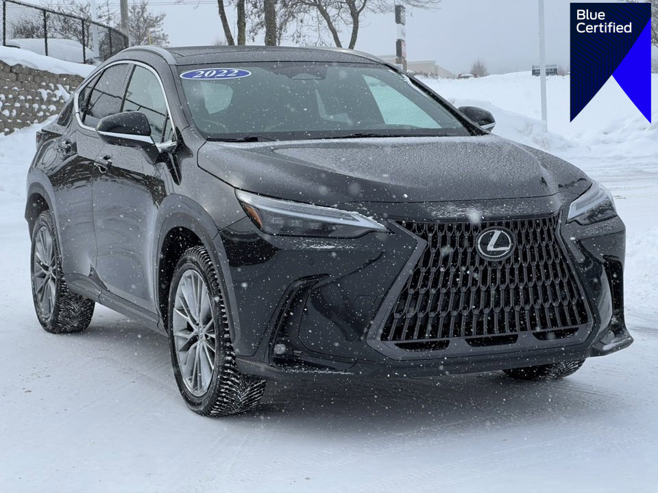 Used 2022 Lexus NX 300h 350h Luxury