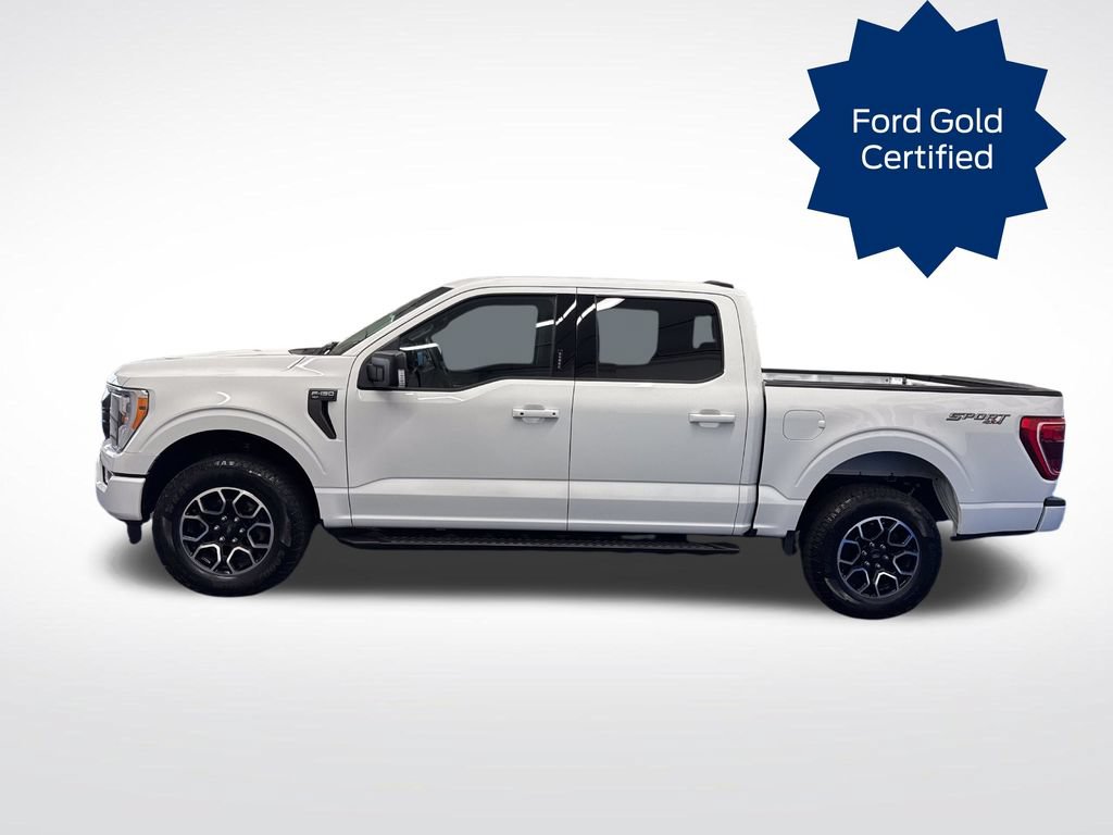 Certified 2023 Ford F150 XLT w/ Equipment Group 302A High AWD/4WD image 2
