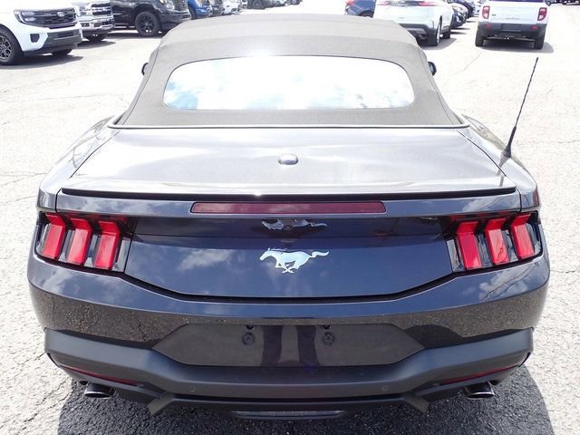 Certified 2024 Ford Mustang Premium image 3