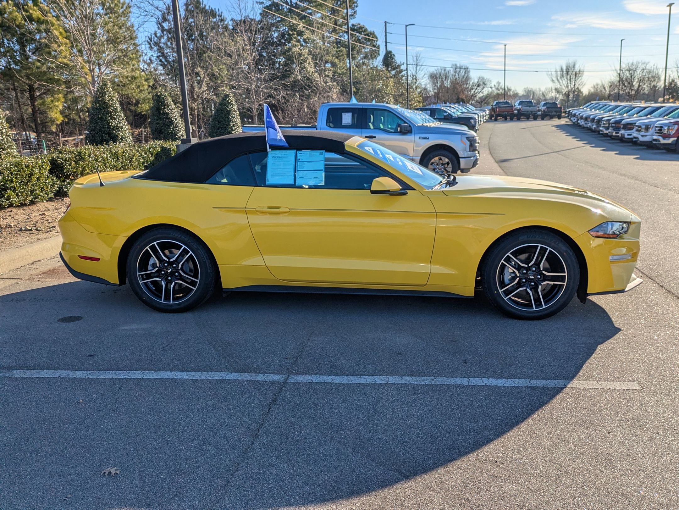 Certified 2018 Ford Mustang Premium w/ Equipment Group 201A image 8