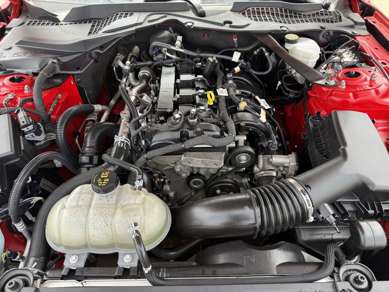 Certified 2023 Ford Mustang Premium RWD image 27