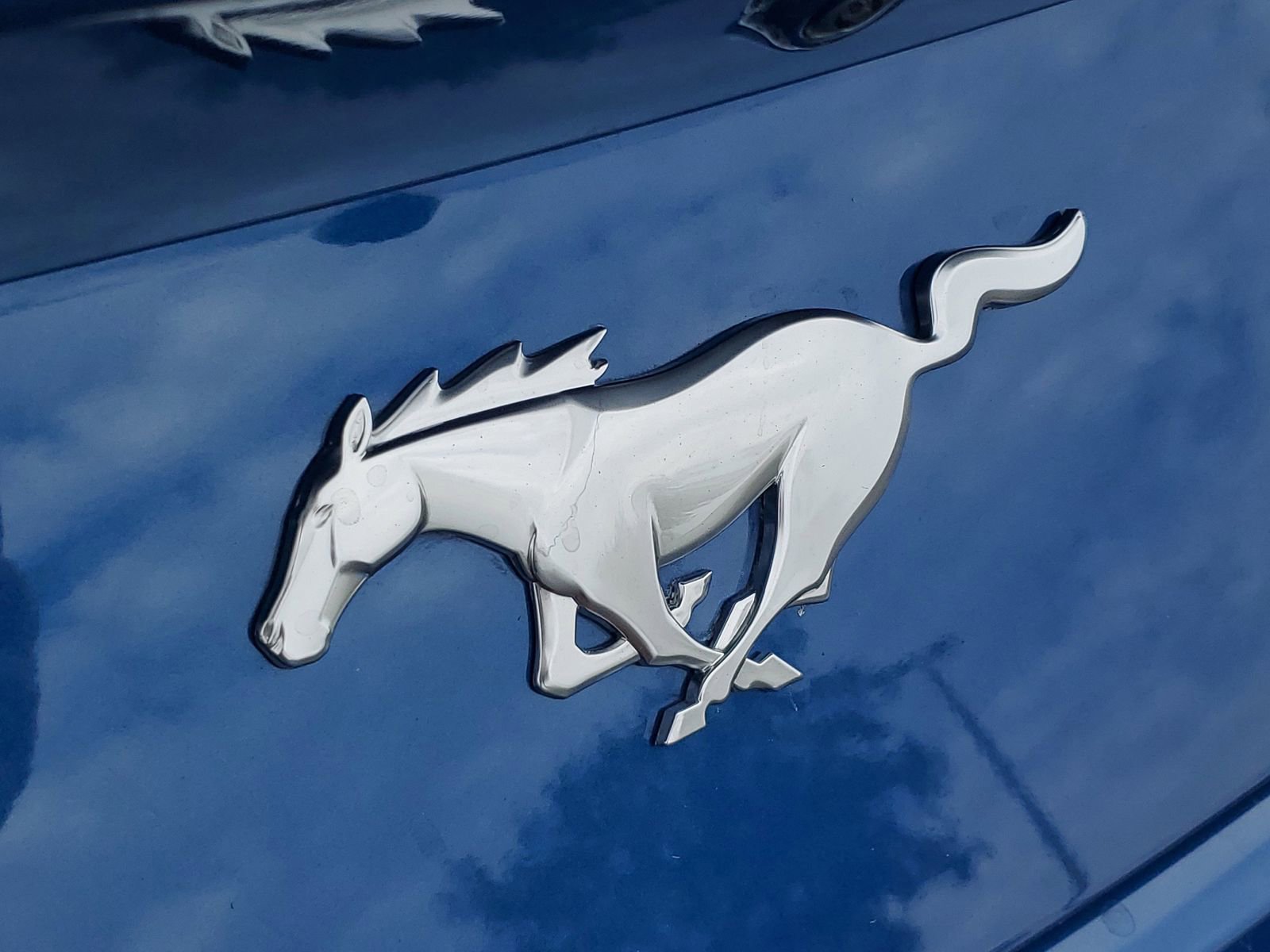 Certified 2024 Ford Mustang Coupe RWD image 6