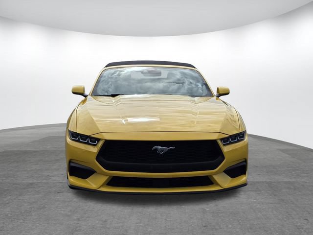 Certified 2024 Ford Mustang Premium RWD image 3