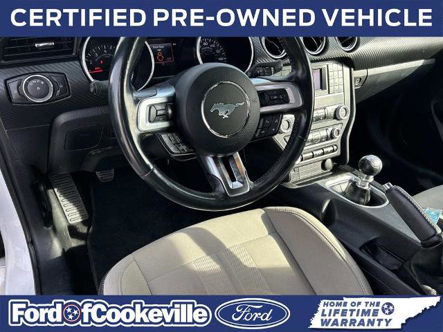 Certified 2020 Ford Mustang Convertible w/ Ford Safe & Smart Package RWD image 12