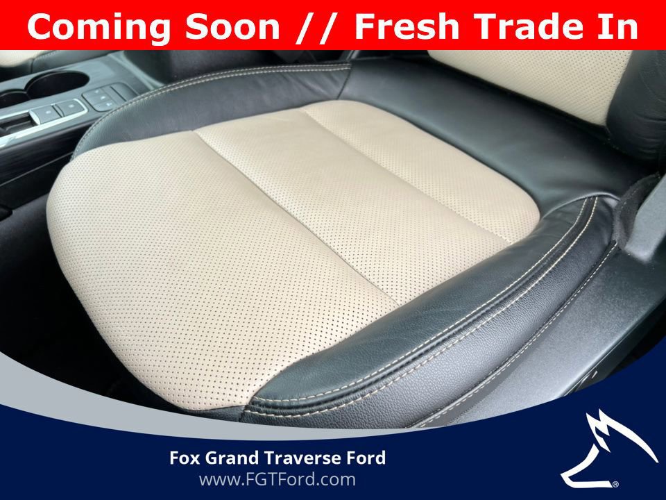 Certified 2022 Ford Escape Titanium w/ Titanium Elite Package image 16