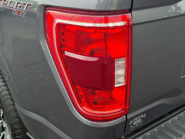 Certified 2023 Ford F150 XLT w/ Equipment Group 302A High AWD/4WD image 10