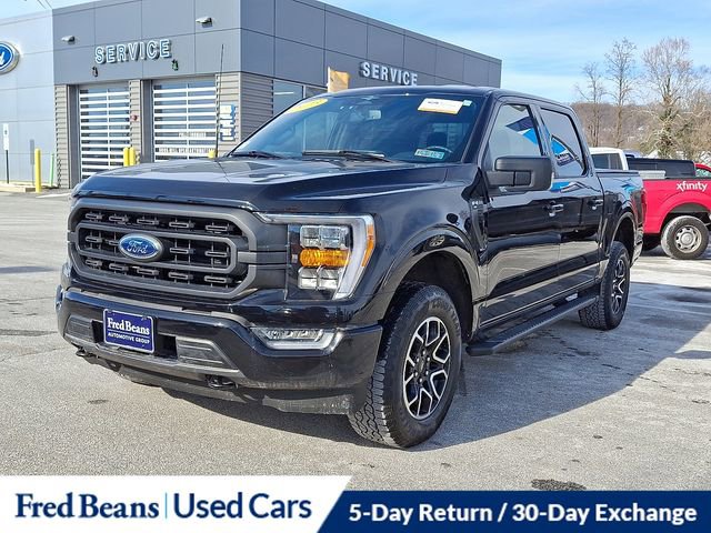 Certified 2023 Ford F150 XLT w/ Equipment Group 302A High image 4