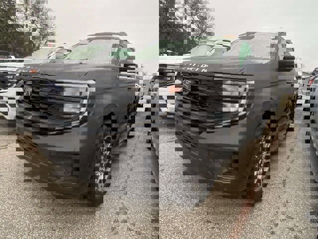 Certified 2025 Ford Expedition Active image 3